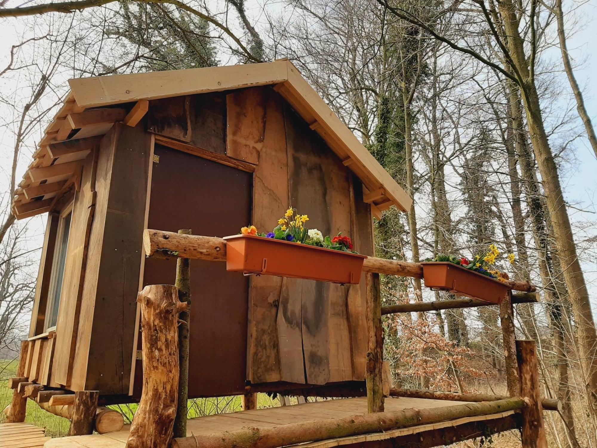 Baumhausnaechte Hotel Ladbergen Kültér fotó