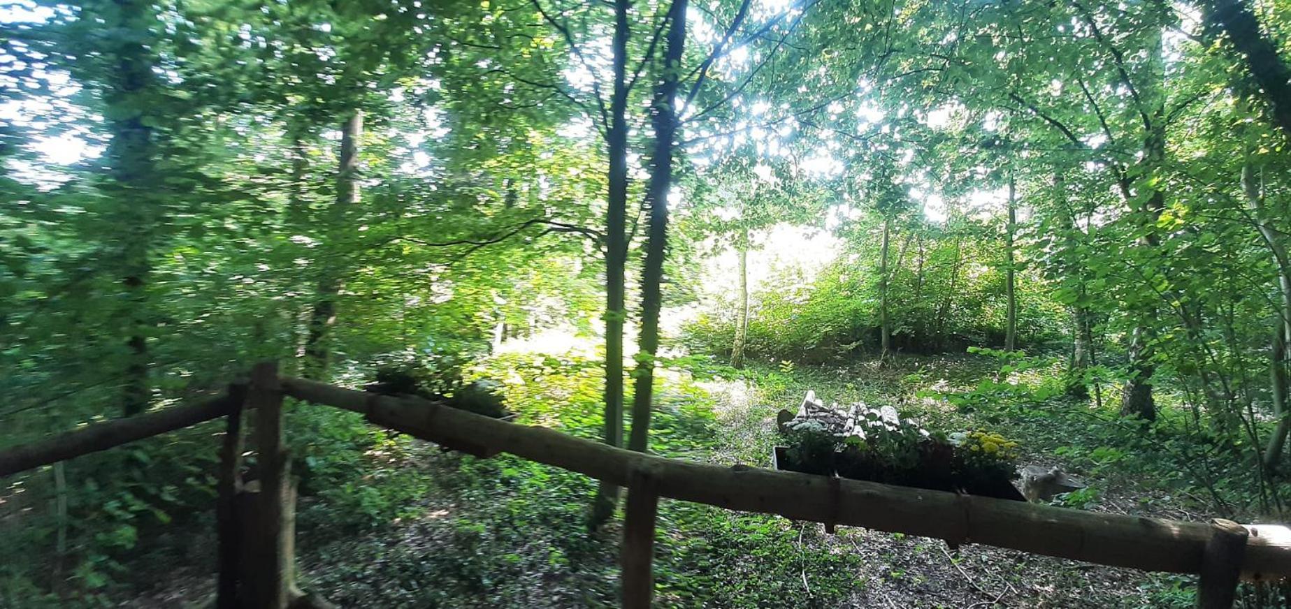 Baumhausnaechte Hotel Ladbergen Kültér fotó